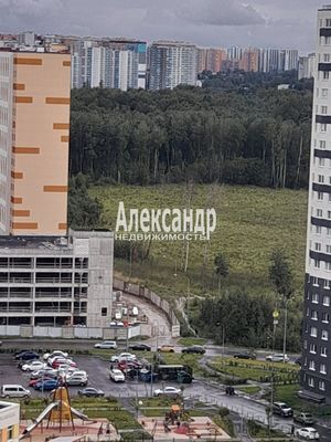 Продам однокомнатную (1-комн.) квартиру, Пейзажная ул, 24к3, Санкт-Петербург г