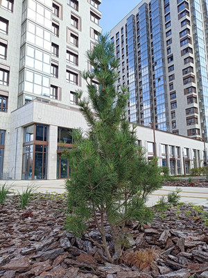 Продам двухкомнатную (2-комн.) квартиру, Гаврилова ул, 7к1, Казань г