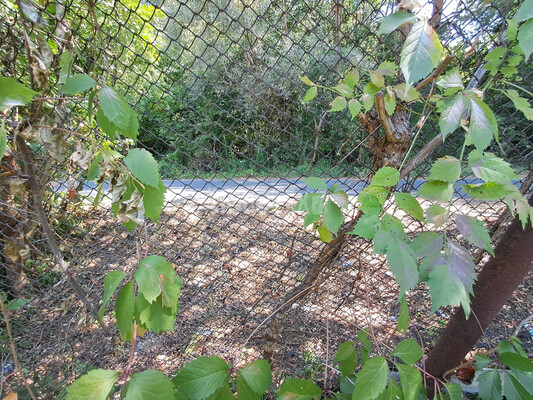 Продам дом, Шевченко ул, 9, Горячий Ключ г, 0 км от города