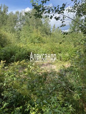 Продам участок 12 соток, СНТ, СНТ Заповедное Массива Запорожское тер, 117 км от города