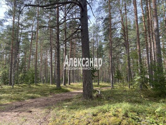 Продам участок 12 соток, СНТ, СНТ Заповедное Массива Запорожское тер, 117 км от города