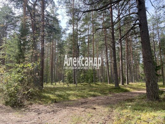 Продам участок 12 соток, СНТ, СНТ Заповедное Массива Запорожское тер, 117 км от города