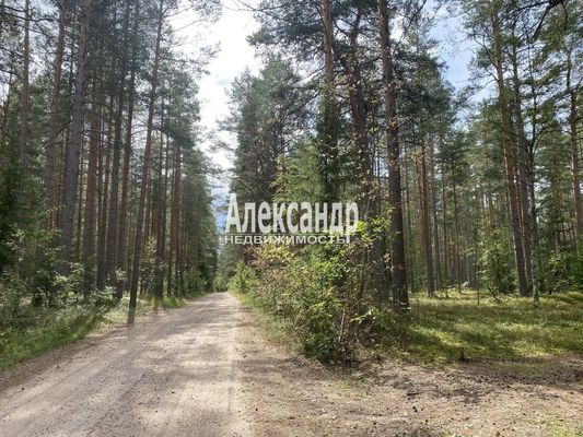 Продам участок 12 соток, СНТ, СНТ Заповедное Массива Запорожское тер, 117 км от города