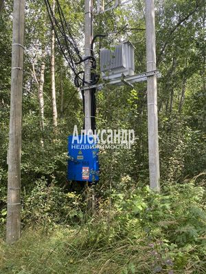 Продам участок 12 соток, СНТ, СНТ Заповедное Массива Запорожское тер, 117 км от города