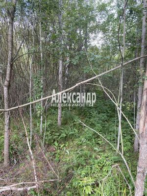 Продам участок 12 соток, СНТ, СНТ Заповедное Массива Запорожское тер, 117 км от города