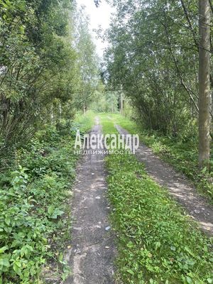 Продам участок 12 соток, СНТ, СНТ Заповедное Массива Запорожское тер, 117 км от города