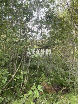 Продам участок 12 соток, СНТ, СНТ Заповедное Массива Запорожское тер, 117 км от города