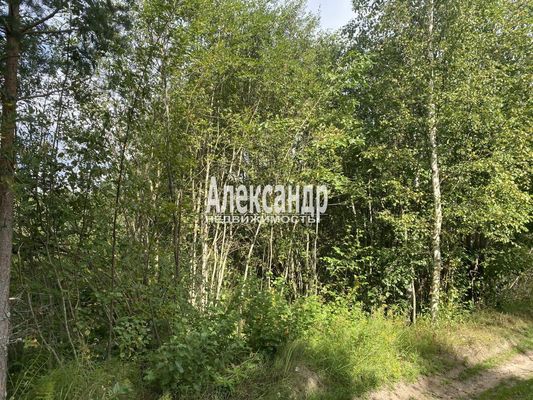 Продам участок 12 соток, СНТ, СНТ Заповедное Массива Запорожское тер, 117 км от города