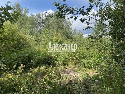 Продам участок 12 соток, СНТ, СНТ Заповедное Массива Запорожское тер, 117 км от города