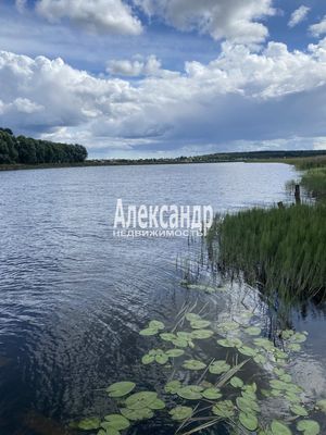 Продам участок 12 соток, СНТ, СНТ Заповедное Массива Запорожское тер, 117 км от города