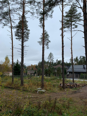 Продам участок 28 соток, ИЖС, Подгорная ул, Энколово д, 0 км от города