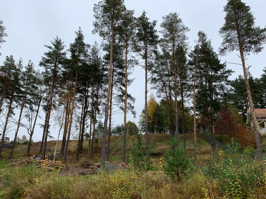 Продам участок 28 соток, ИЖС, Подгорная ул, Энколово д, 0 км от города