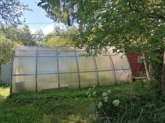 Продам дачу, Бригантина тер. СНТ, Кобрино массив, 0 км от города