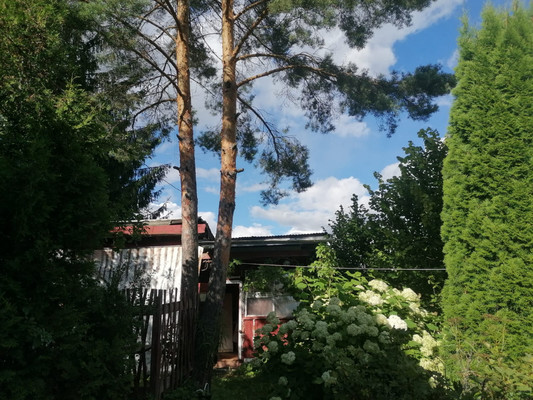 Продам дачу, Бригантина тер. СНТ, Кобрино массив, 0 км от города