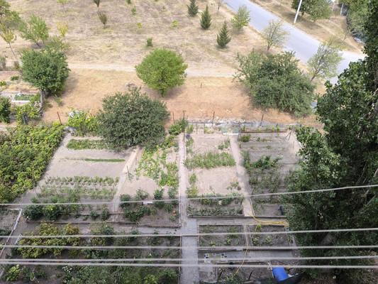 Продам однокомнатную (1-комн.) квартиру, Мира ул, 8, Школьное п