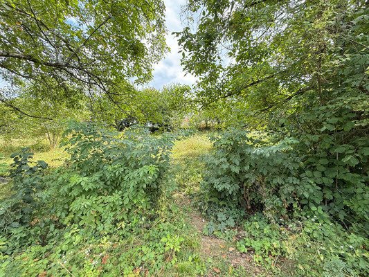 Продам участок 9,2 соток, ИЖС, Тотур ул, 3, Белая Речка с, 0 км от города