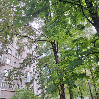 Продам двухкомнатную (2-комн.) квартиру, Верности ул, 10к4, Санкт-Петербург г