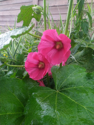 Продам дом, Шум с, 0 км от города