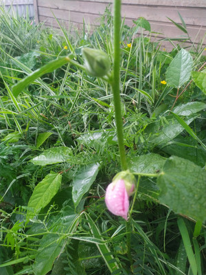 Продам дом, Шум с, 0 км от города