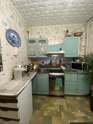 Продам однокомнатную (1-комн.) квартиру, Савушкина ул, 137к3, Санкт-Петербург г