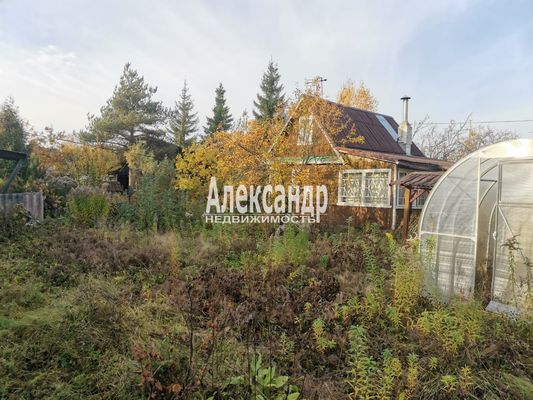 Продам дачу в поселке СНТ №4 Электросила, 3-я Линия (Наука тер. СНТ) ул, Борисова Грива массив, 50 км от города