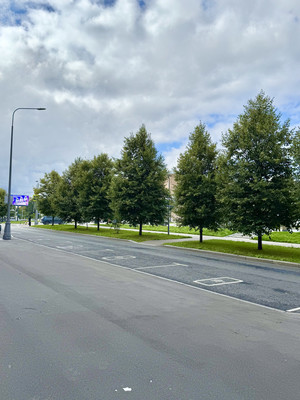 Сдам торговое помещение 70 м2, Ленинский пр-кт, 61/1, Москва г