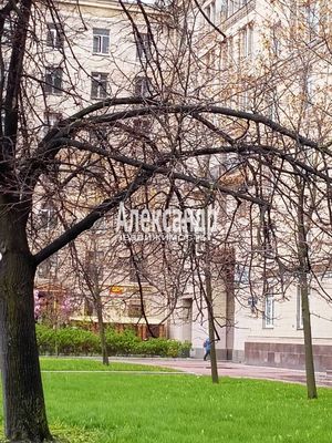 Продам трехкомнатную (3-комн.) квартиру, Московский пр-кт, 205, Санкт-Петербург г