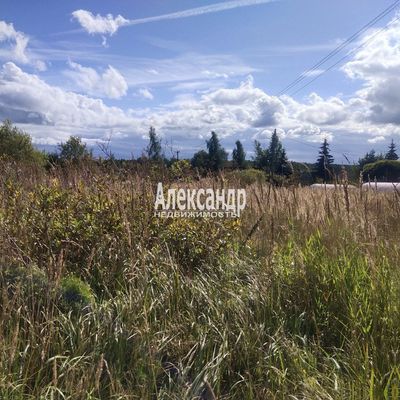 Продам участок 11,47 соток, ЛПХ, Петровское д, 30 км от города