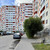 Продам однокомнатную (1-комн.) квартиру, Ленсоветовский тер, 13, Шушары п