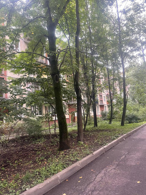 Продам однокомнатную (1-комн.) квартиру, Витебский пр-кт, 47Ак3, Санкт-Петербург г