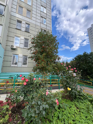 Продам двухкомнатную (2-комн.) квартиру, Академика Доллежаля (Кузнечики мкр.) ул, 21, Подольск г