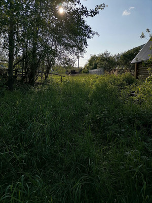 Продам участок 25 соток, ИЖС, Дачная ул, Малые Жеребцы д, 0 км от города