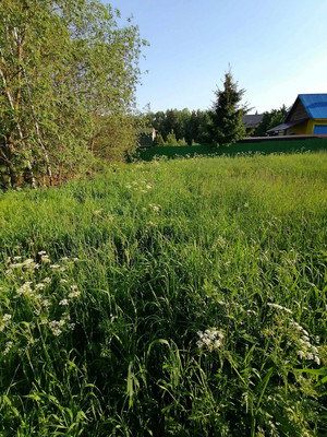 Продам участок 25 соток, ИЖС, Дачная ул, Малые Жеребцы д, 0 км от города