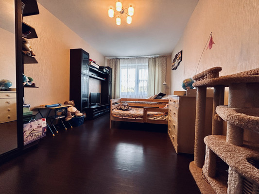 Продам однокомнатную (1-комн.) квартиру, Непокорённых пр-кт, 49к2, Санкт-Петербург г