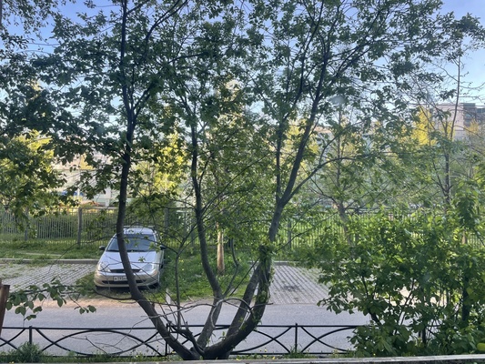 Сдам комнату в 4-комн. квартире, Ленская ул, 6к3, Санкт-Петербург г