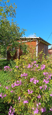 Продам дачу, 6-я (Политехник тер. СНТ) линия, Чаща массив, 0 км от города