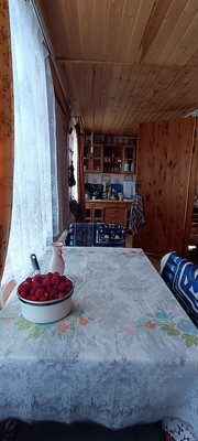 Продам дачу, 6-я (Политехник тер. СНТ) линия, Чаща массив, 0 км от города