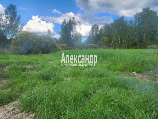 Продам участок 25 соток, ИЖС, Зеленая ул, 2, Кротово п, 130 км от города