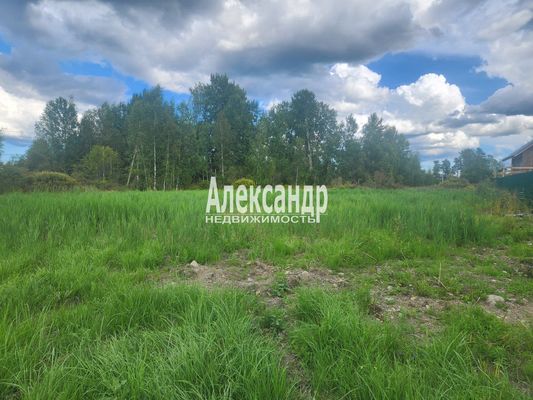 Продам участок 25 соток, ИЖС, Зеленая ул, 2, Кротово п, 130 км от города