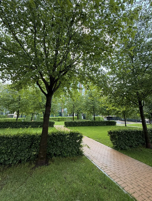 Продам трехкомнатную (3-комн.) квартиру, Весенняя ул, 2к1, Заречье рп