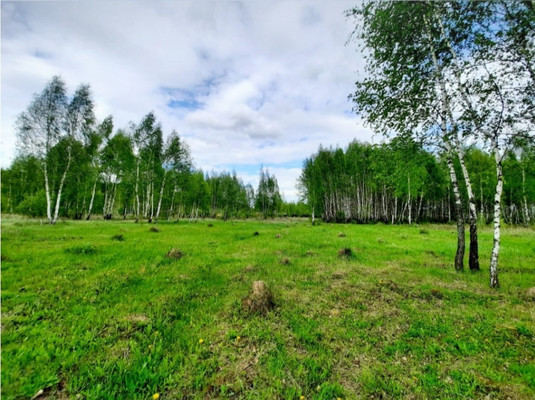 Продам участок 12 соток, ИЖС, Лиственная (Ожерелье мкр.) ул, Кашира г, 0 км от города