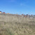 Продам участок 7 соток, Фермерское хоз., Усады с, 0 км от города