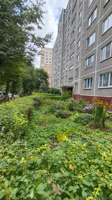 Продам однокомнатную (1-комн.) квартиру, Подольская ул, 29а, Северово д