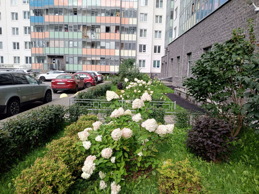 Продам однокомнатную (1-комн.) квартиру, Воронцовский б-р, 14к5, Мурино п