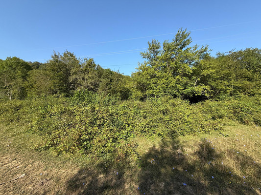 Продам участок 16,5 соток, ИЖС, Заречная ул, Новый Режет п, 0 км от города