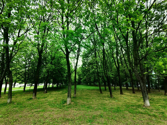 Продам трехкомнатную (3-комн.) квартиру, Варшавское ш, 69к2, Москва г