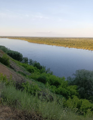 Продам дачу, 534, Центральное снт, 0 км от города
