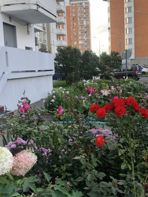 Продам двухкомнатную (2-комн.) квартиру, Челобитьевское ш, 12к6, Москва г