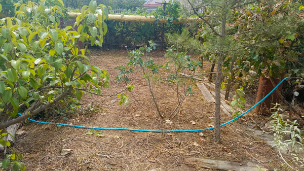 Продам двухкомнатную (2-комн.) квартиру, Садовая ул, 1, Молодежное пгт