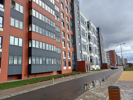 Продам однокомнатную (1-комн.) квартиру, Центральная ул, 20, Новоселье гп